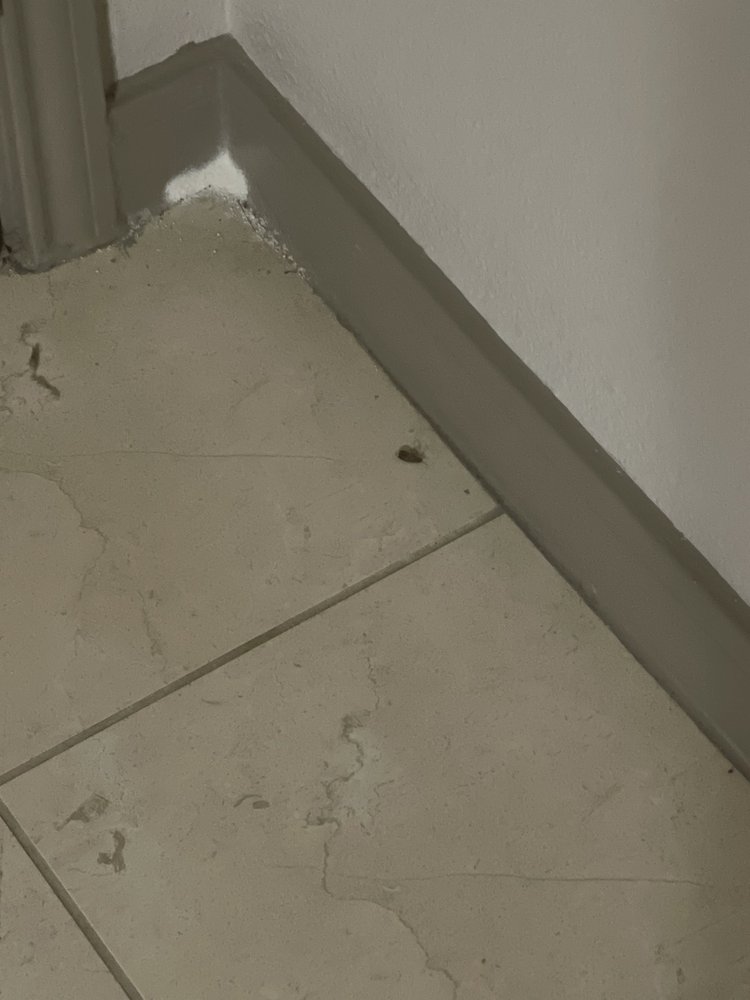 SAN CIERRA Updated October 2024 36 Photos & 23 Reviews 15500