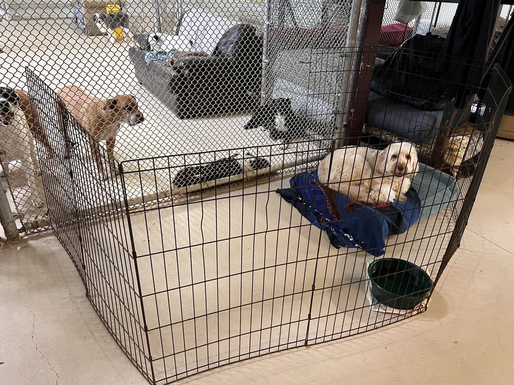 Happy Tails - pet boarding facility in Belmont, CA