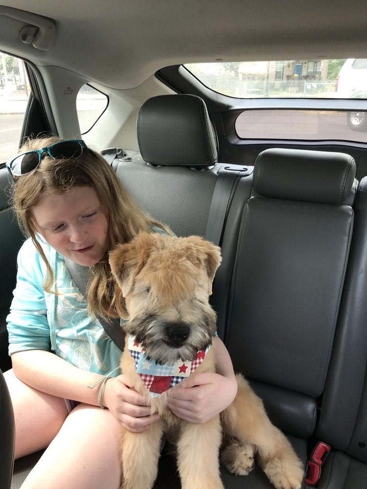 THE DOG SHOP 11 Reviews 1328 Baseline, Cornelius, Oregon Pet