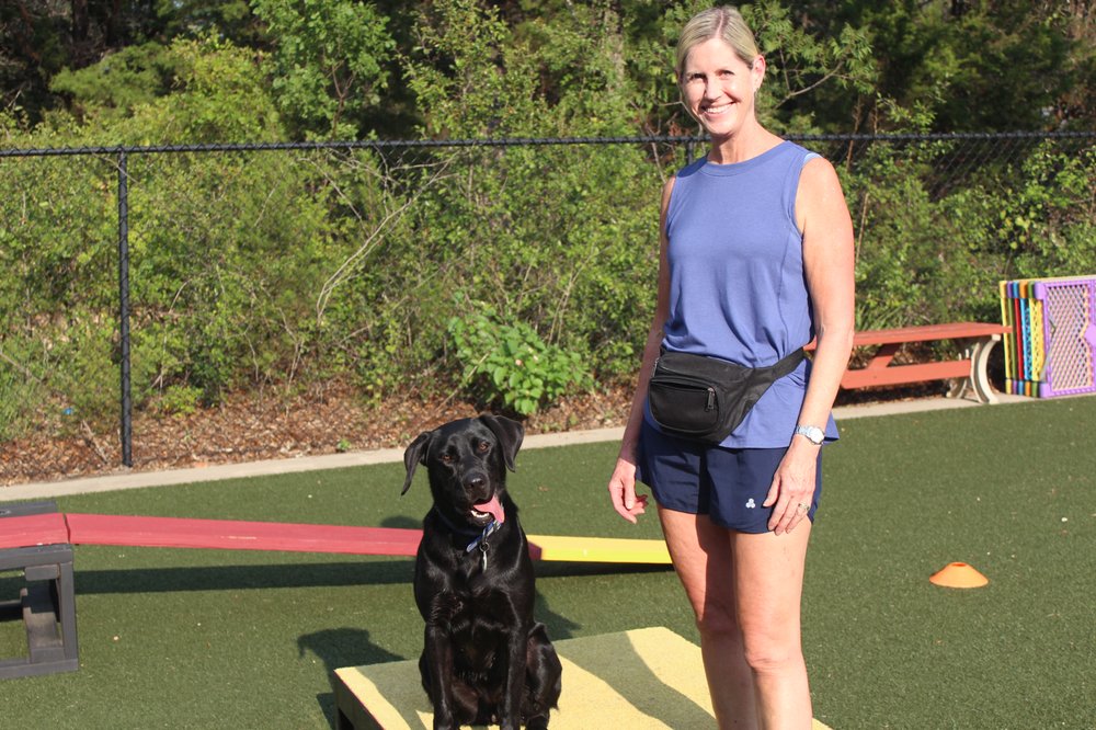 The Dog Alliance - social services organization in Cedar Park, TX