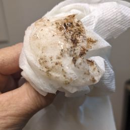 As you can see after two months this is what I wiped out of the tray of the brand new hot and cold water dispenser As you can see after two months this is what I wiped out of the tray of the brand new hot and cold water dispenser