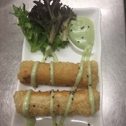 Gllow - Bird nets spring roll