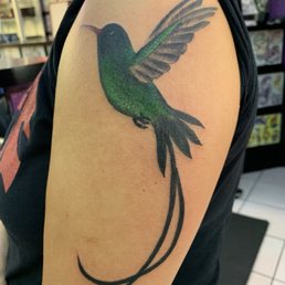 Machine's tattoo of a Jamaican hummingbird Machine's tattoo of a Jamaican hummingbird