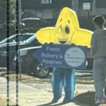 Citywide Distributors - Sign waving - Couriers & Delivery Services Near Me