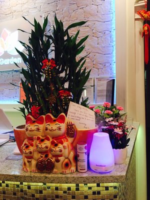 Spring Garden Spa 30 Ann St by null