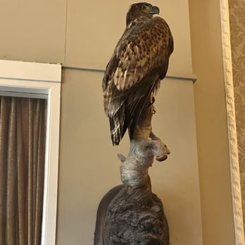 The Lake Hotel - Hotels Near Me - Killarney, Kentucky