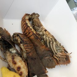 Doyles at the Fish Markets - Bugs