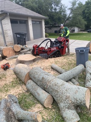 Stump grinding - We use the latest machines to remove trees safely and efficient all the way down to the roots if needed. Stump grinding - We use the latest machines to remove trees safely and efficient all the way down to the roots if needed.