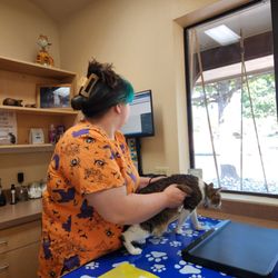 Animal Care Center At Stonebridge Ranch
