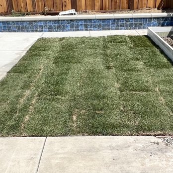 Outdoor Landscape Innovations - New Sod and tip of the gravel - Irrigation Near Me Outdoor Landscape Innovations - New Sod and tip of the gravel - Irrigation Near Me
