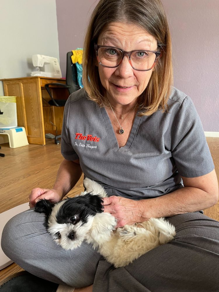 THE VETS MOBILE VET CARE IN DENVER Updated September 2024 33