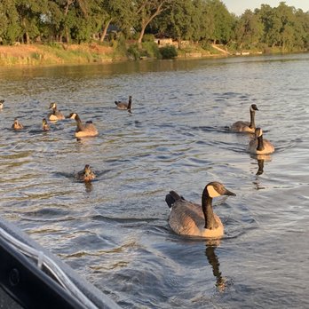 River Romance Cruises - Boat Charters Near Me - Redding, California