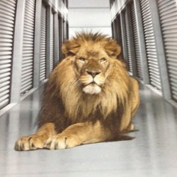 Pride Self Storage