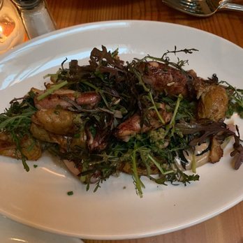 Creekwood - Squid - Italian Near Me - Berkeley, California Creekwood - Squid - Italian Near Me - Berkeley, California