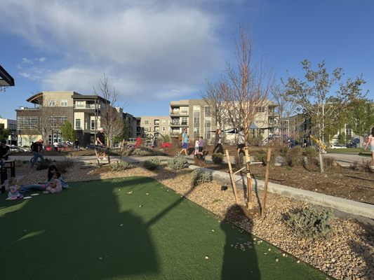 Denver Beer Co. Lowry by null