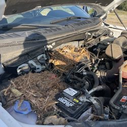 La Grange Ford Lincoln - You'd have thought they could've cleaned this out, even if they charged me to do it.