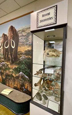 Big Bone Lick State Historic Site by null