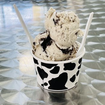 Ice Spice Cafe - Cookies and Cream Ice Cream - Indian Near Me - Tampa, Florida