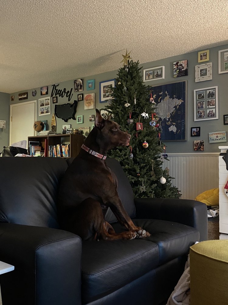 DANIA FURNITURE 30 Photos & 112 Reviews 16995 NW Cornell Rd