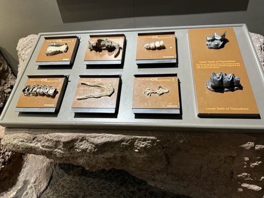 Ben Reifel Visitor Center by null