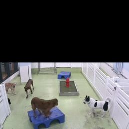 A screenshot of the live feed cameras :)