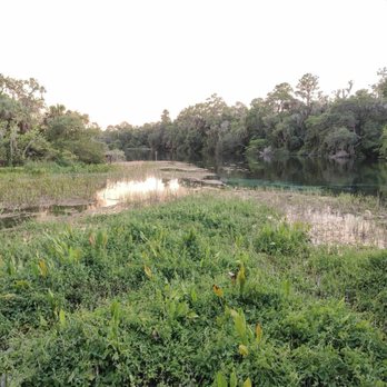 Rainbow Springs State Park - Parks Near Me - Dunnellon, Florida Rainbow Springs State Park - Parks Near Me - Dunnellon, Florida