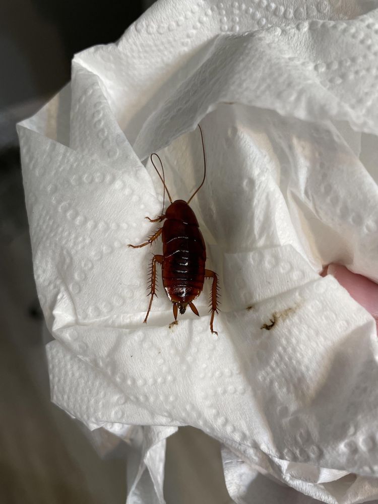 BLAIRMORE APARTMENTS Updated October 2024 20 Photos & 22 Reviews