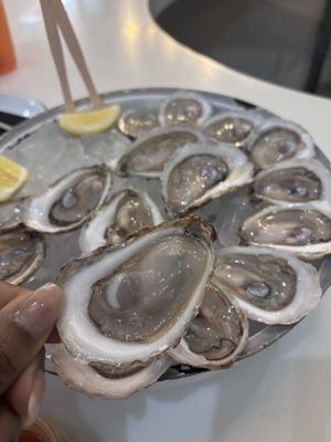 W. H. Stiles Fish Camp by null