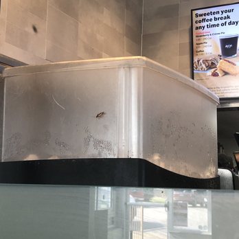 McDonald's - Roach on ice machine - Fast Food Near Me - Channelview, Texas McDonald's - Roach on ice machine - Fast Food Near Me - Channelview, Texas