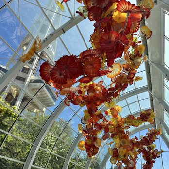 Chihuly Garden and Glass - Art Museums Near Me - Seattle, Washington Chihuly Garden and Glass - Art Museums Near Me - Seattle, Washington