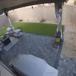 Before - dead plants and trees