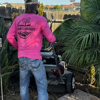 Fleming’s Landscape - Grinding the stump - Lawn Services Near Me Fleming’s Landscape - Grinding the stump - Lawn Services Near Me