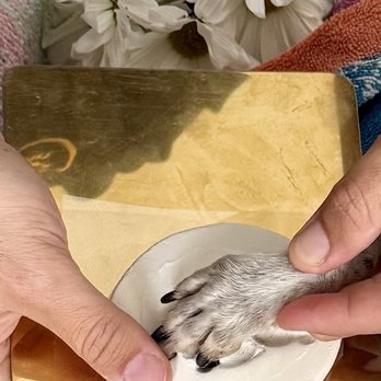 La Fin Veterinary - Clay paw print done by Dr. Charlie. - Pet Cremation Services Near Me La Fin Veterinary - Clay paw print done by Dr. Charlie. - Pet Cremation Services Near Me