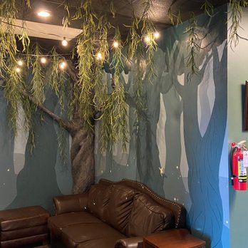 Fable Hollow Bookshoppe - Cozy little spot--check out the tree! - Bookstores Near Me - Knoxville, Tennessee