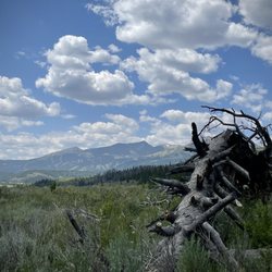 Gold Run Trail
