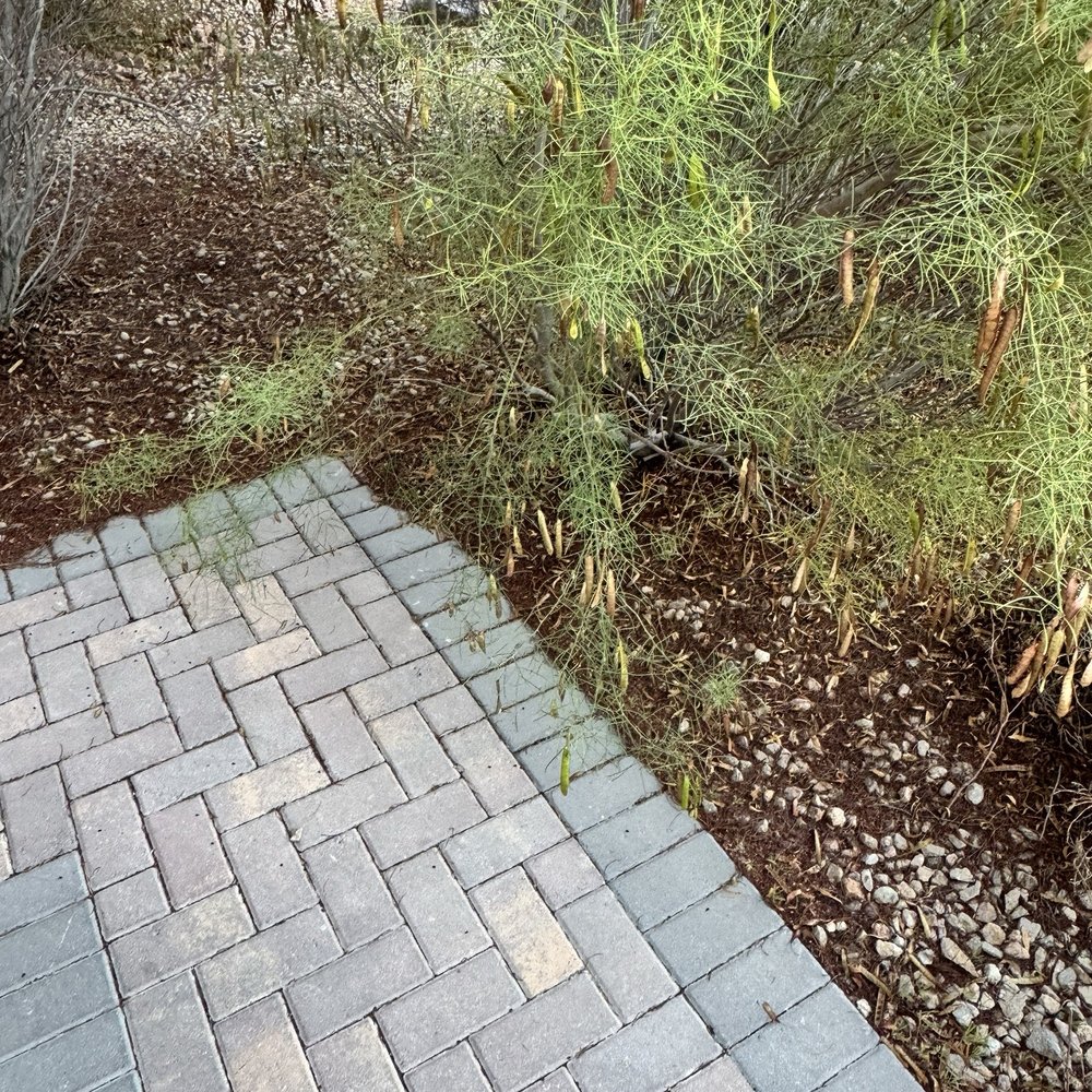 Dcancio Landscape - Before services - Landscape Architects or Designers Near Me - Manor, Texas