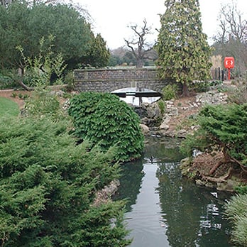Dulwich Park - The cascade and rivulets: actually looks better in the picture than real life I think - Parks Near Me - London, XGL Dulwich Park - The cascade and rivulets: actually looks better in the picture than real life I think - Parks Near Me - London, XGL