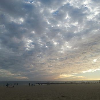 Venice Statepark - Beaches Near Me - Venice, California Venice Statepark - Beaches Near Me - Venice, California