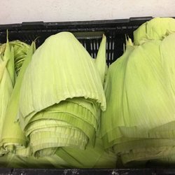 RS Produce - Fresh Husk for Tamales!