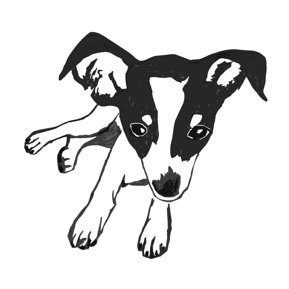 The Animal Collective - pet boarding facility in Portland, OR