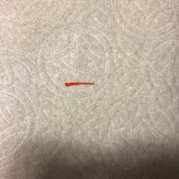Piece of plastic in Orange Chicken