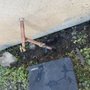 Photo of CJ's Plumbing