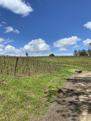 Beaux Frères by null