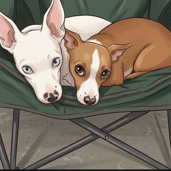 Work and Woof - Dog Parks Near Me - Austin, Texas