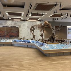 State Historical Museum - Mammoth exhibit