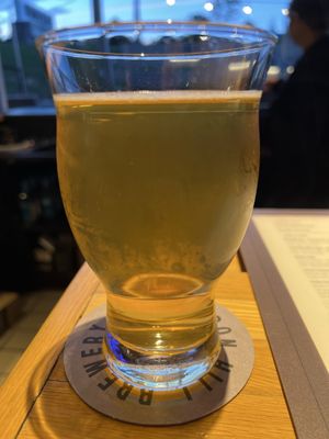 Iron Hill Brewery & Restaurant by null
