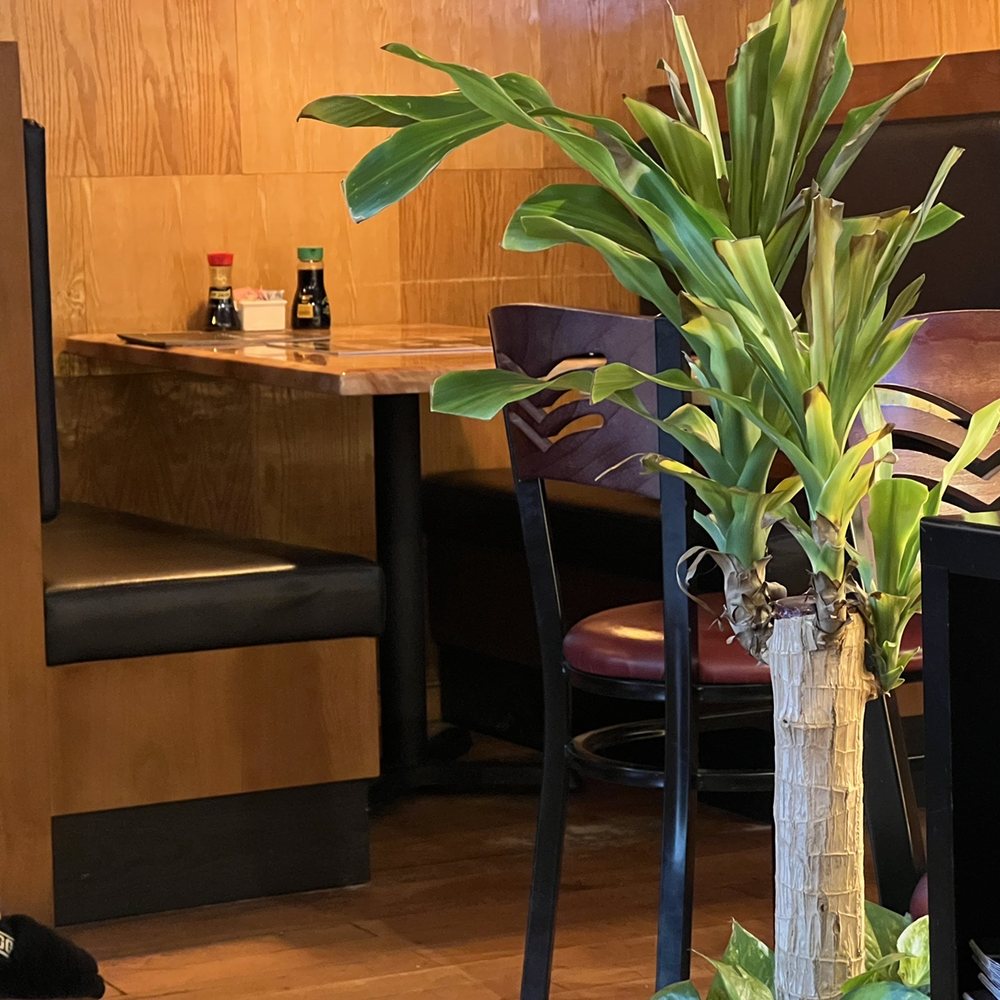 SUSHI THAI - Dining room - Sushi Bars Near Me - Hermitage, Tennessee SUSHI THAI - Dining room - Sushi Bars Near Me - Hermitage, Tennessee