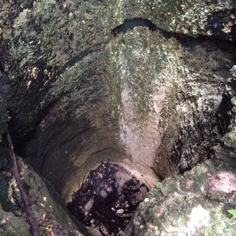 Falling Waters State Park - Sink Hole at Falls - Parks Near Me - Chipley, Florida Falling Waters State Park - Sink Hole at Falls - Parks Near Me - Chipley, Florida