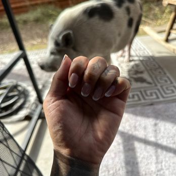 Nail Zone - Nail Salons Near Me - Tucson, Arizona