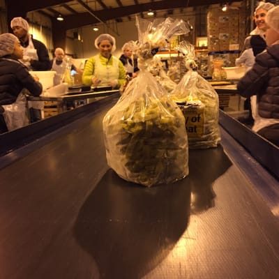 Food Lifeline by null